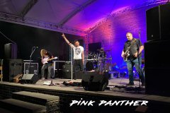 PinkPanther-3